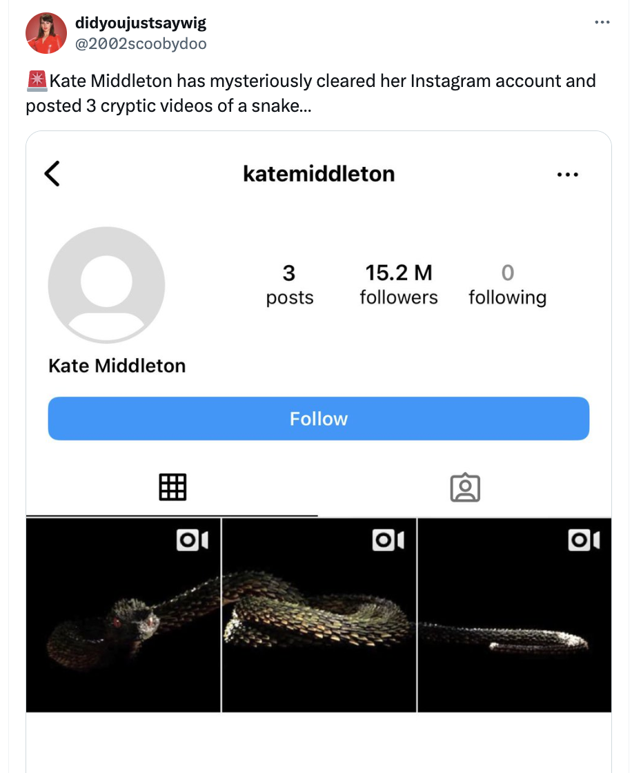 screenshot - N didyoujustsaywig Kate Middleton has mysteriously cleared her Instagram account and posted 3 cryptic videos of a snake...